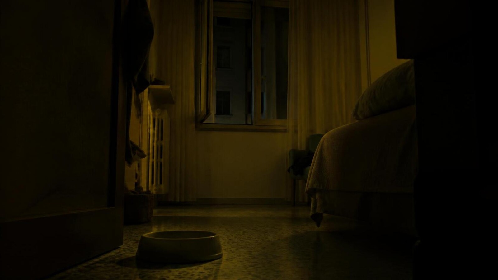 Al settimo miagolio la finestra rispose