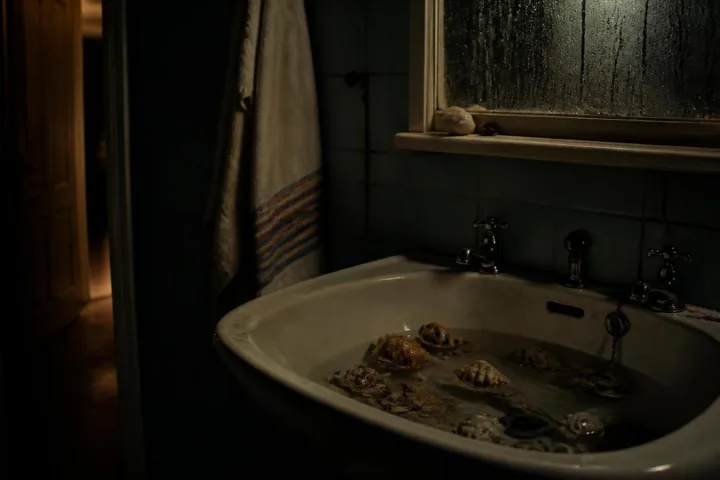 Lavandino di un bagno notturno pieno di acqua salata e conchiglie calde sotto una luce domestica fioca